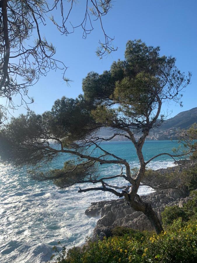 Castiello B&B Roquebrune-Cap-Martin Bagian luar foto